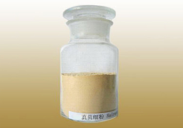 真菌系列細(xì)粉Fungi & Mushrooms Powder and Mycelia powder