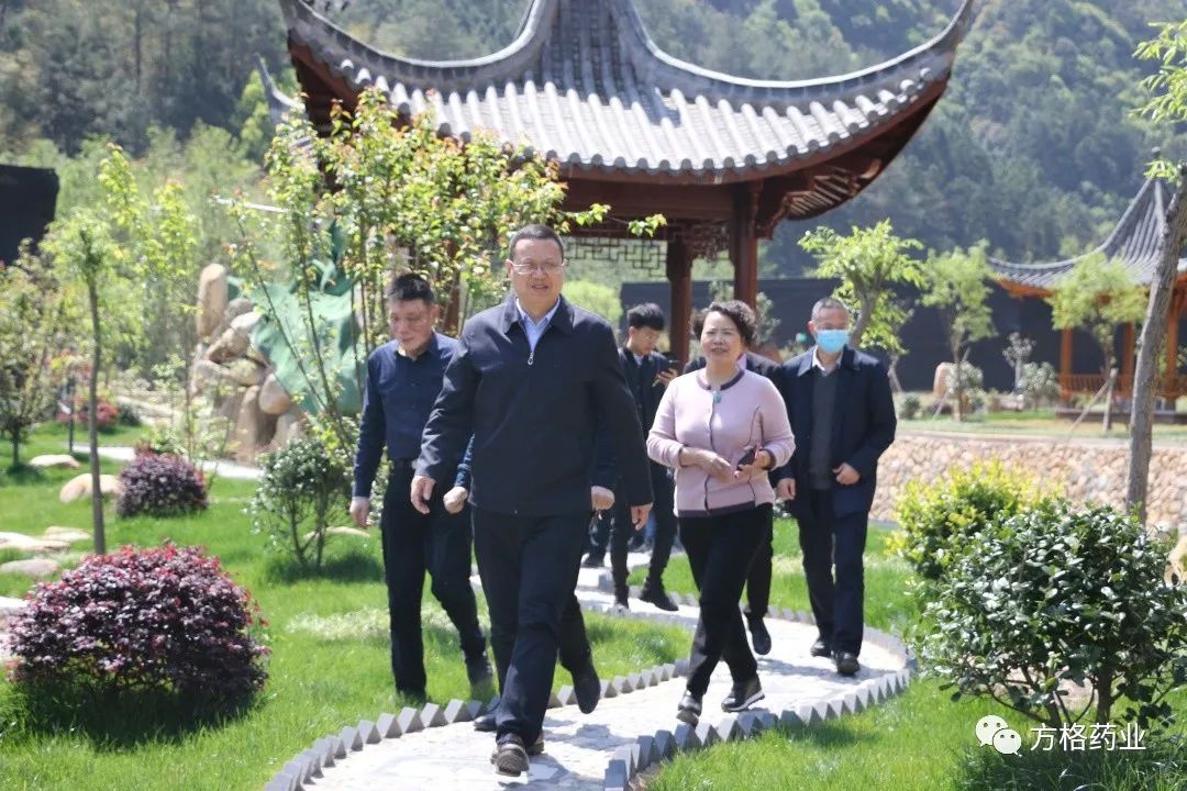 要聞｜縣委副書記、縣長胡獻(xiàn)如蒞臨云頂國際藥業(yè)真菌家園調(diào)研